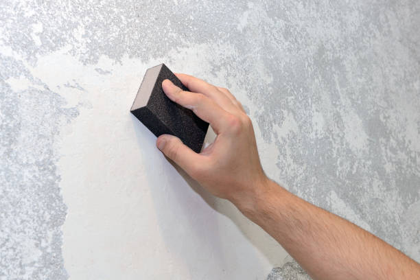 Best Crawl Space Mold Remediation  in Catalina Foothills, AZ
