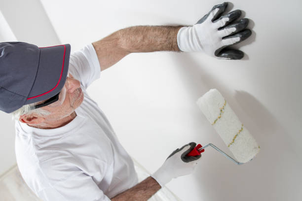 Best Comprehensive Air Testing for Mold Contaminants  in Catalina Foothills, AZ
