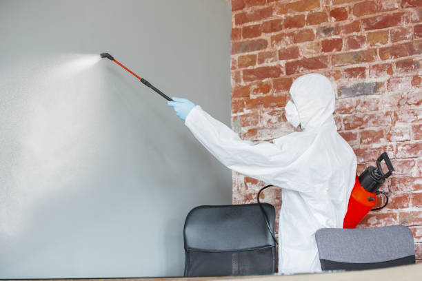 Best Mold-Related Health Consultation  in Catalina Foothills, AZ