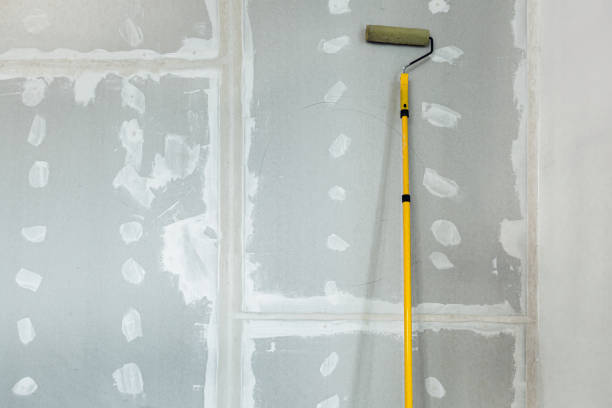  Catalina Foothills, AZ Mold Removal Pros
