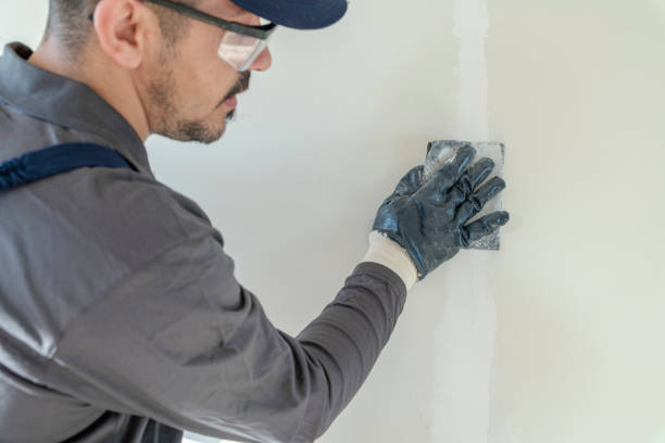 Professional Mold Removal in Catalina Foothills, AZ