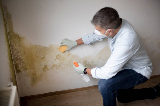 Best Biohazard Mold Removal  in Catalina Foothills, AZ