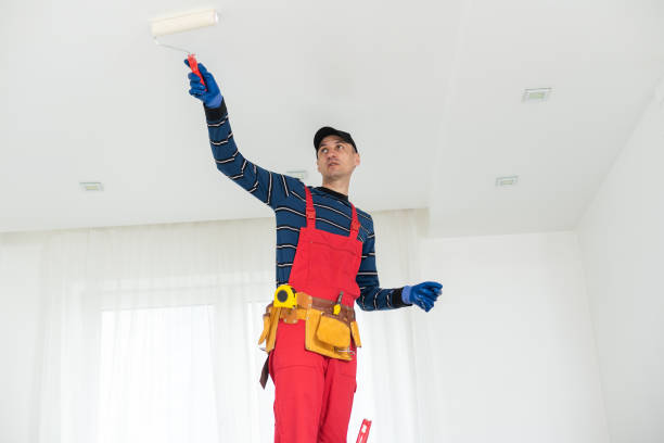 Best Mold Removal for HVAC Installations  in Catalina Foothills, AZ