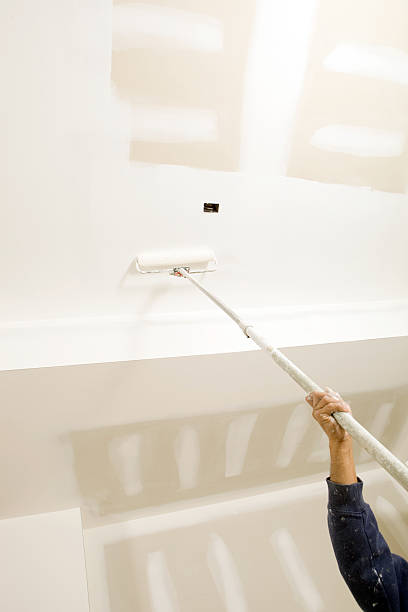 Best Post-Construction Mold Inspection  in Catalina Foothills, AZ